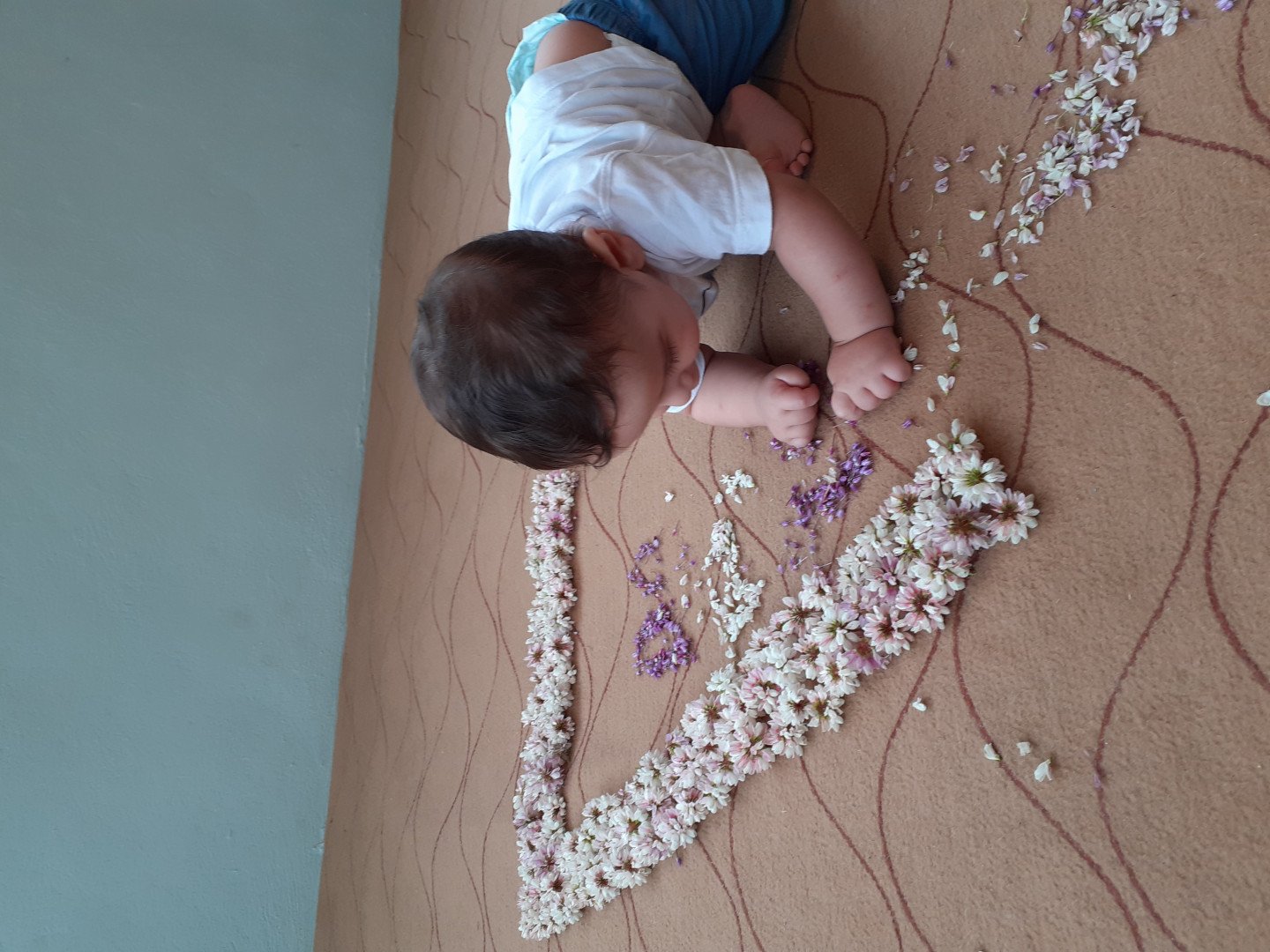 هفت ماهگی نوزاد مهراد