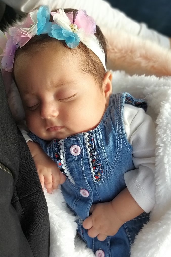 عید نوروز گیسو خرسندی