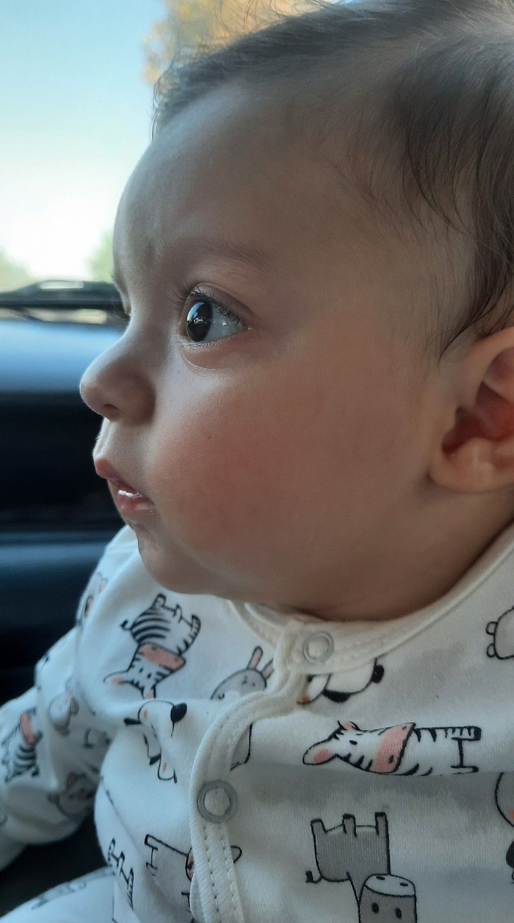 تم عکس تابستانی کودک طاها ناظمی فر