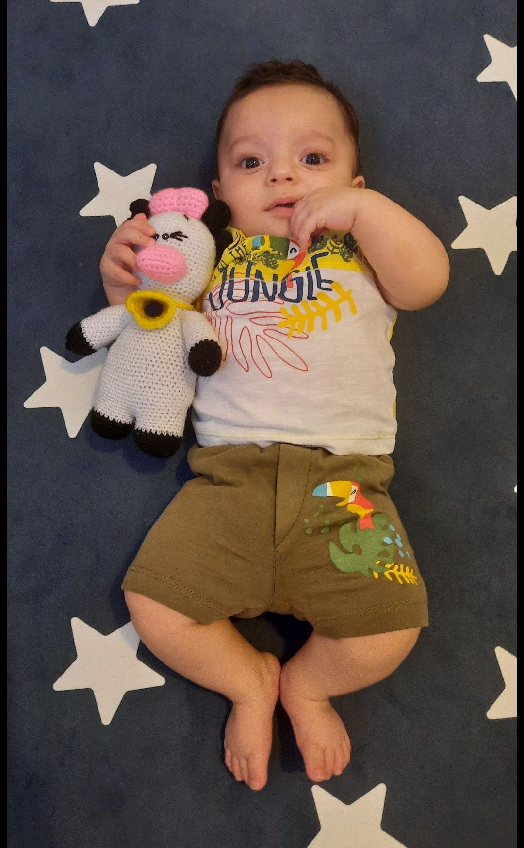 ایده طاها ناظمی فر