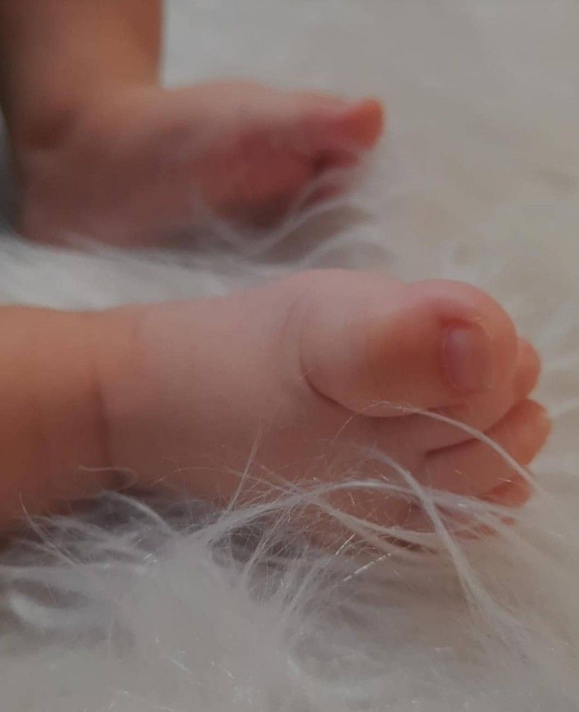 ایده طاها ناظمی فر