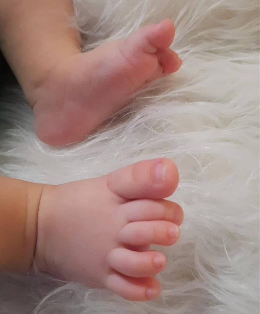 ایده طاها ناظمی فر