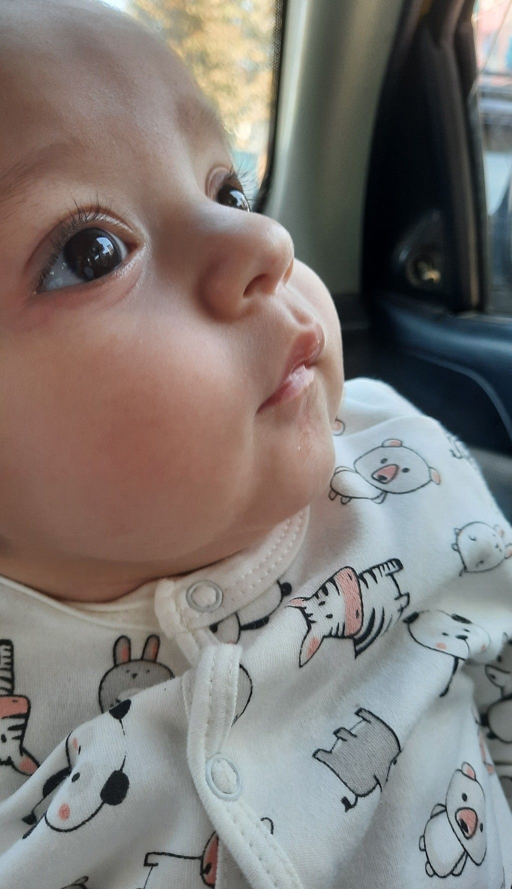 تم عکس تابستانی کودک طاها ناظمی فر