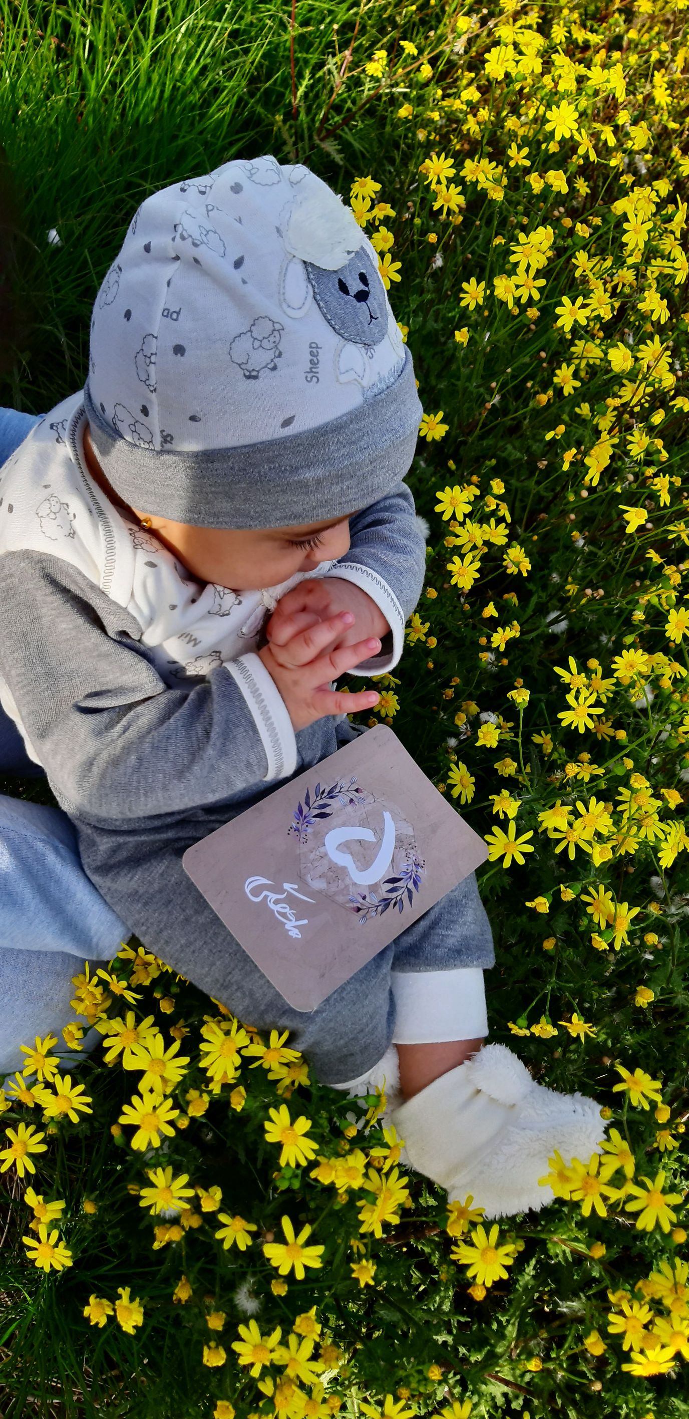 عید نوروز آنیسا صادق نیا