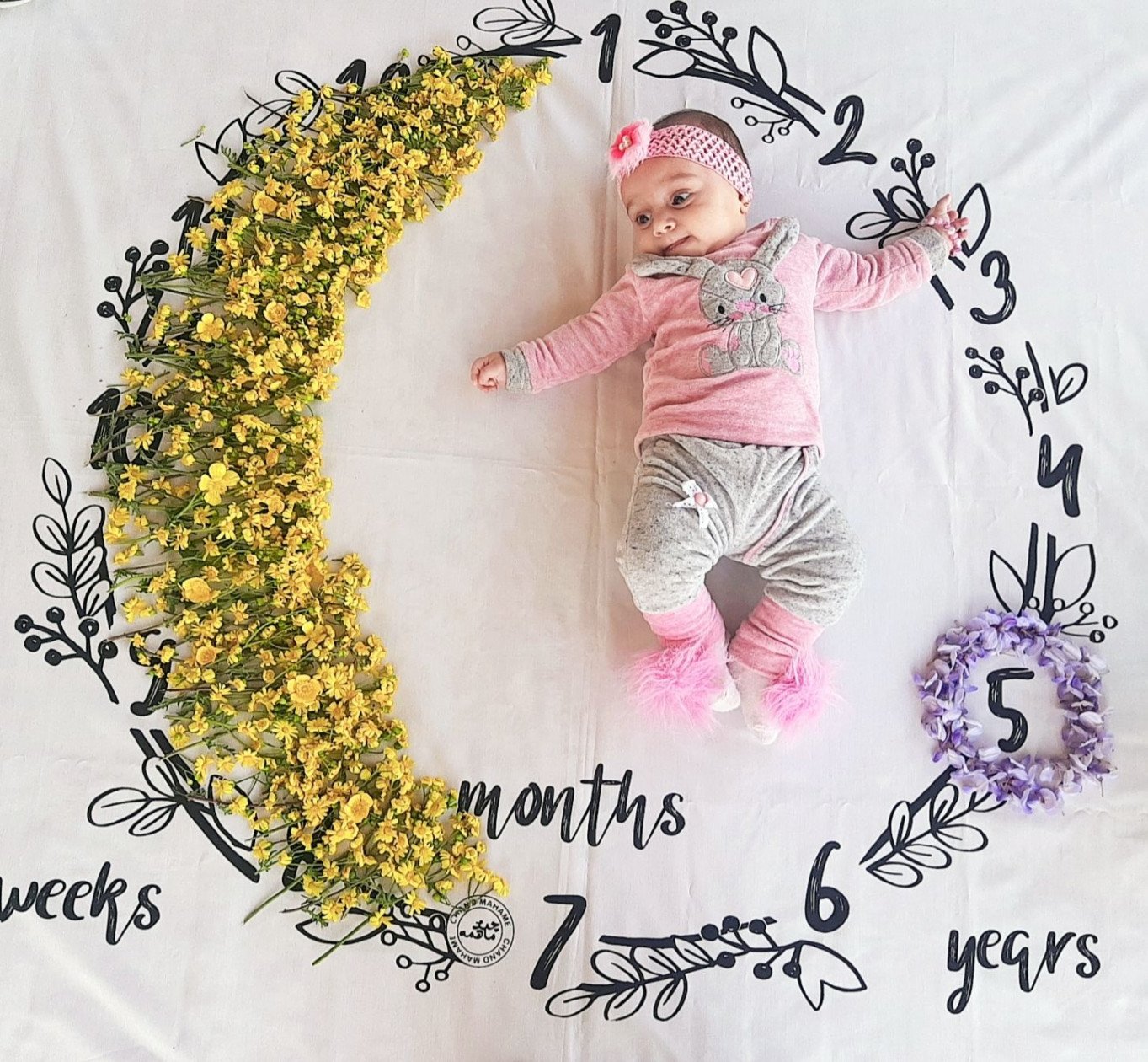 تم عکس بهاری کودک آنیسا صادق نیا