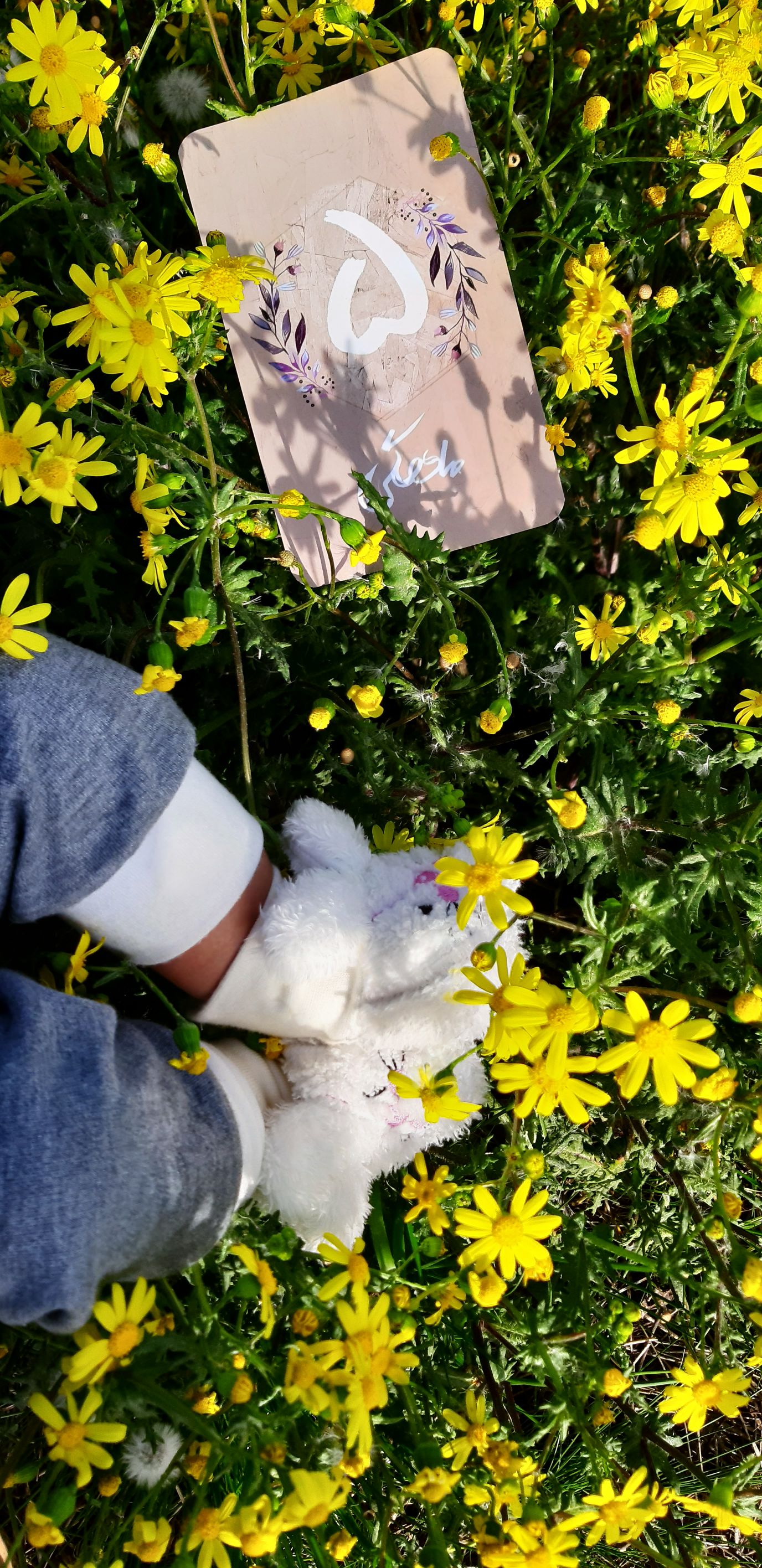 عید نوروز آنیسا صادق نیا