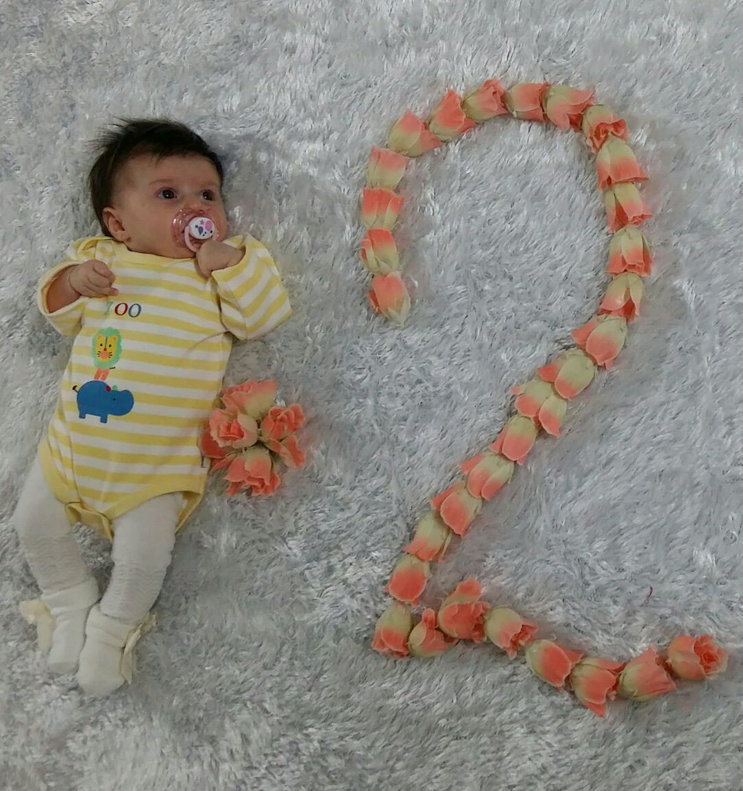 چهار ماهگی نوزاد گندم یوسفی