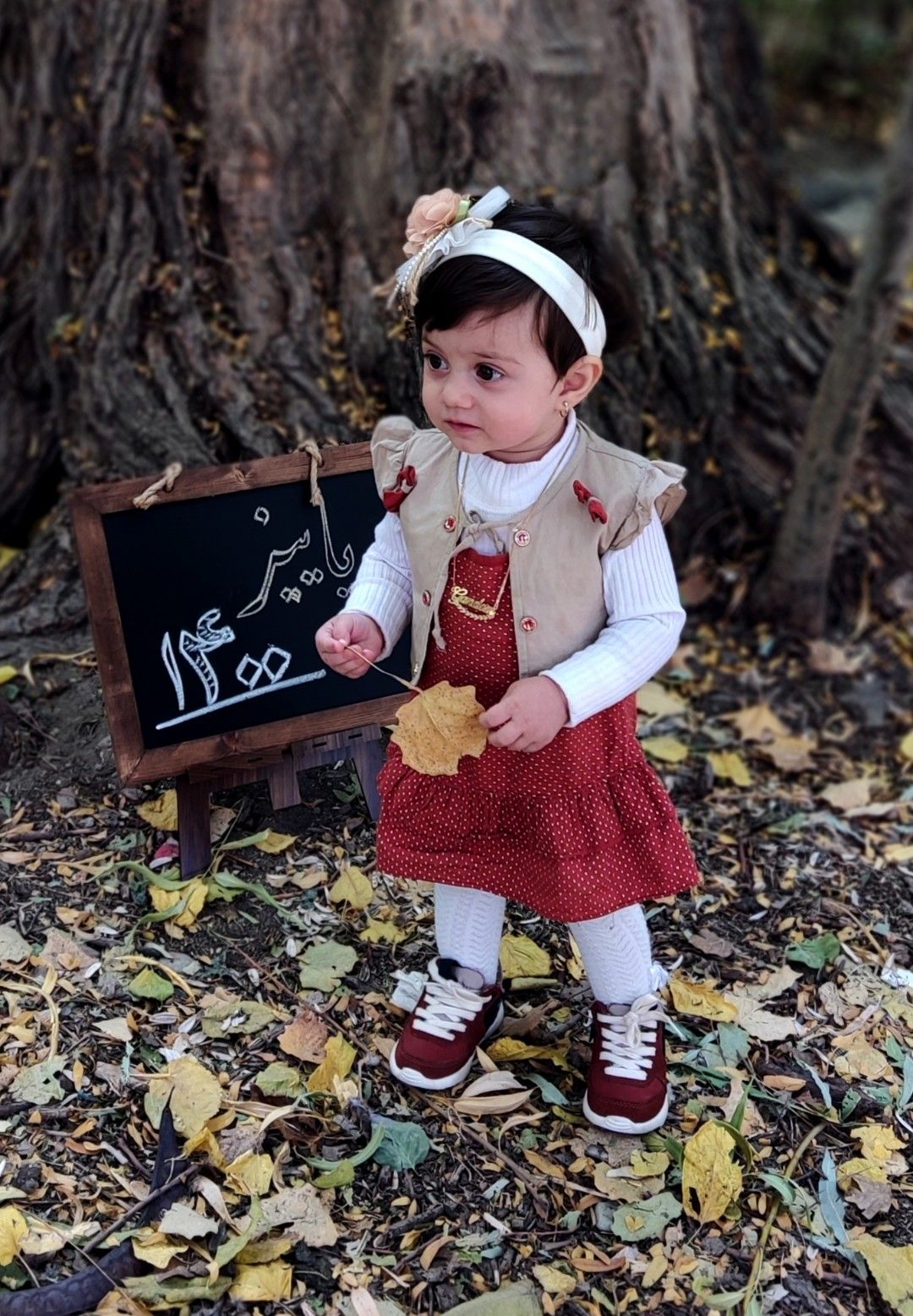 تم عکس پاییزی نوزاد گندم یوسفی