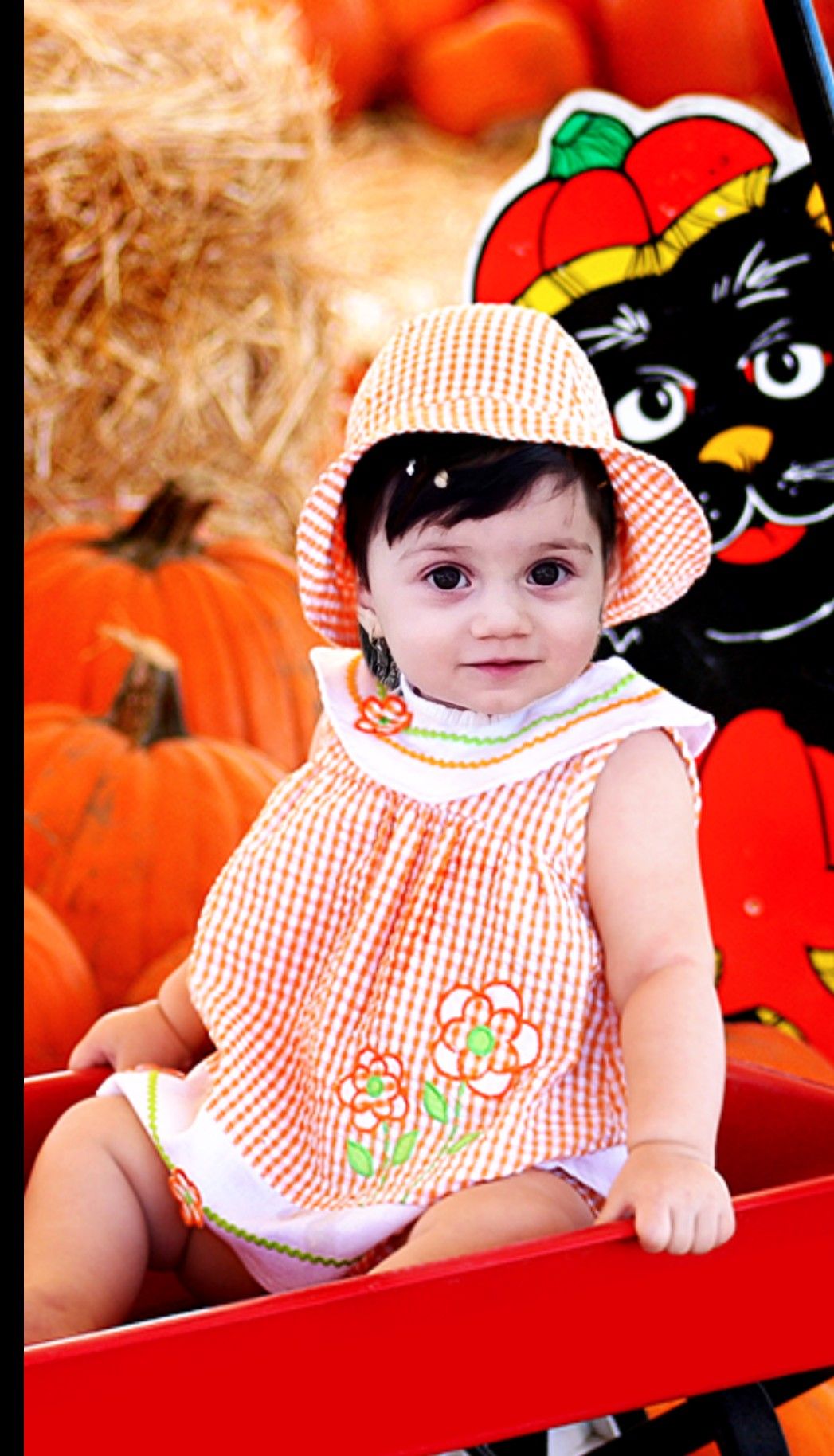 دختر-کوچولو گندم یوسفی