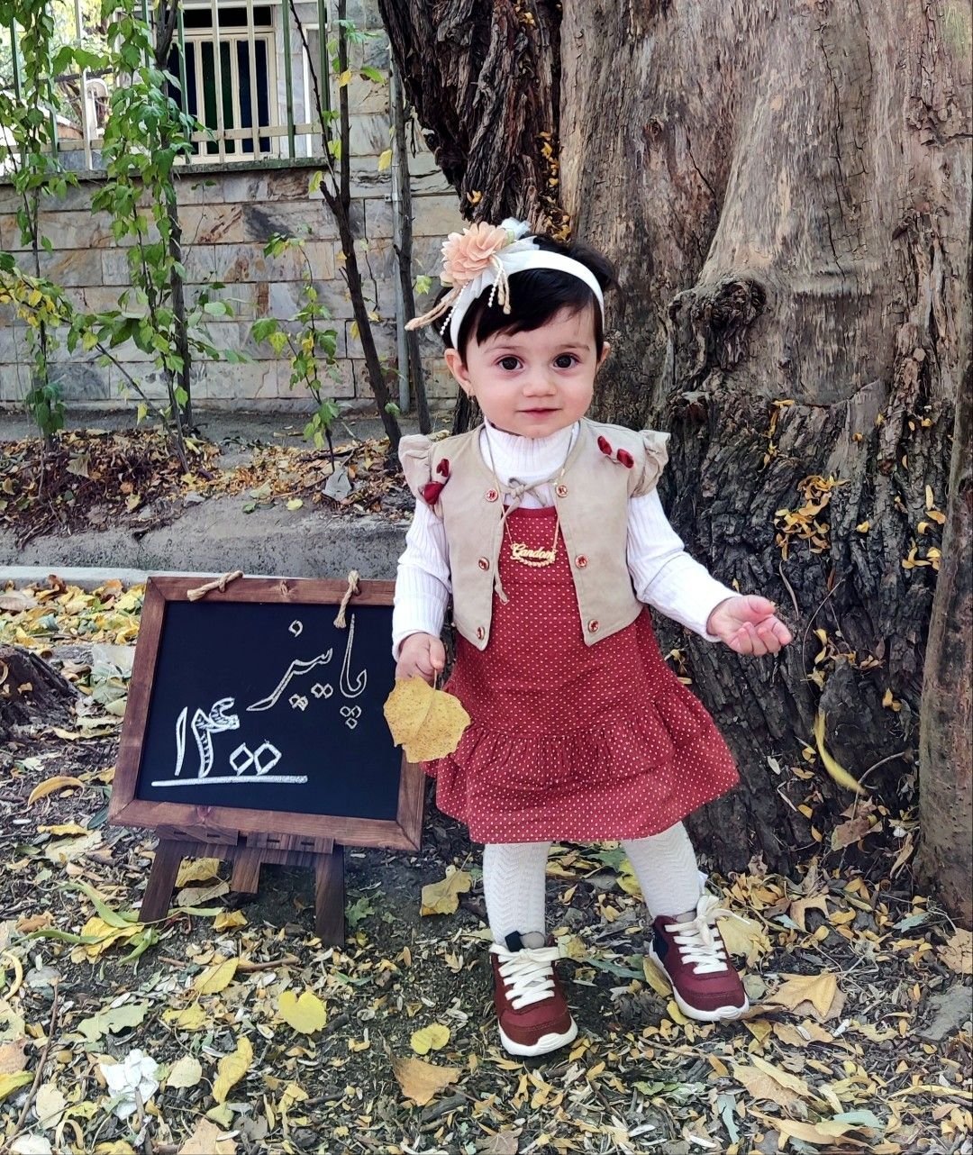 تم عکس پاییزی نوزاد گندم یوسفی