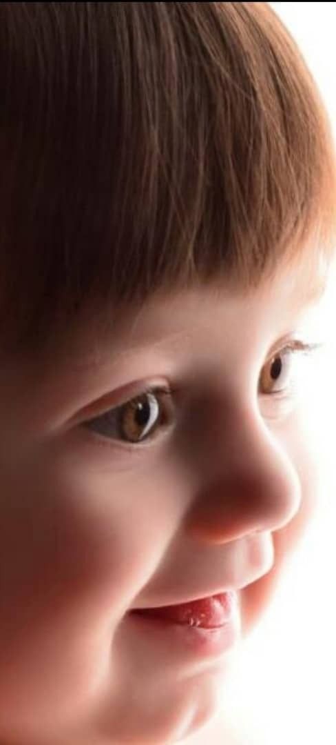 صورت گندم یوسفی