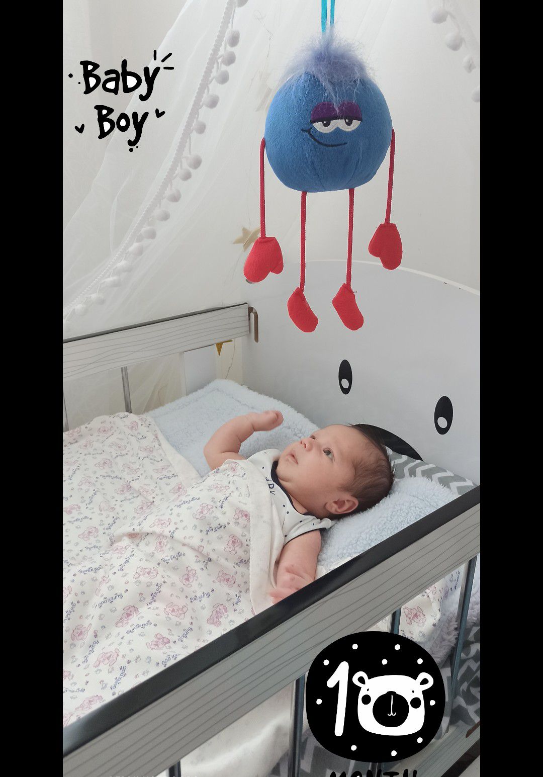 یک ماهگی نوزاد نیکان لشکری