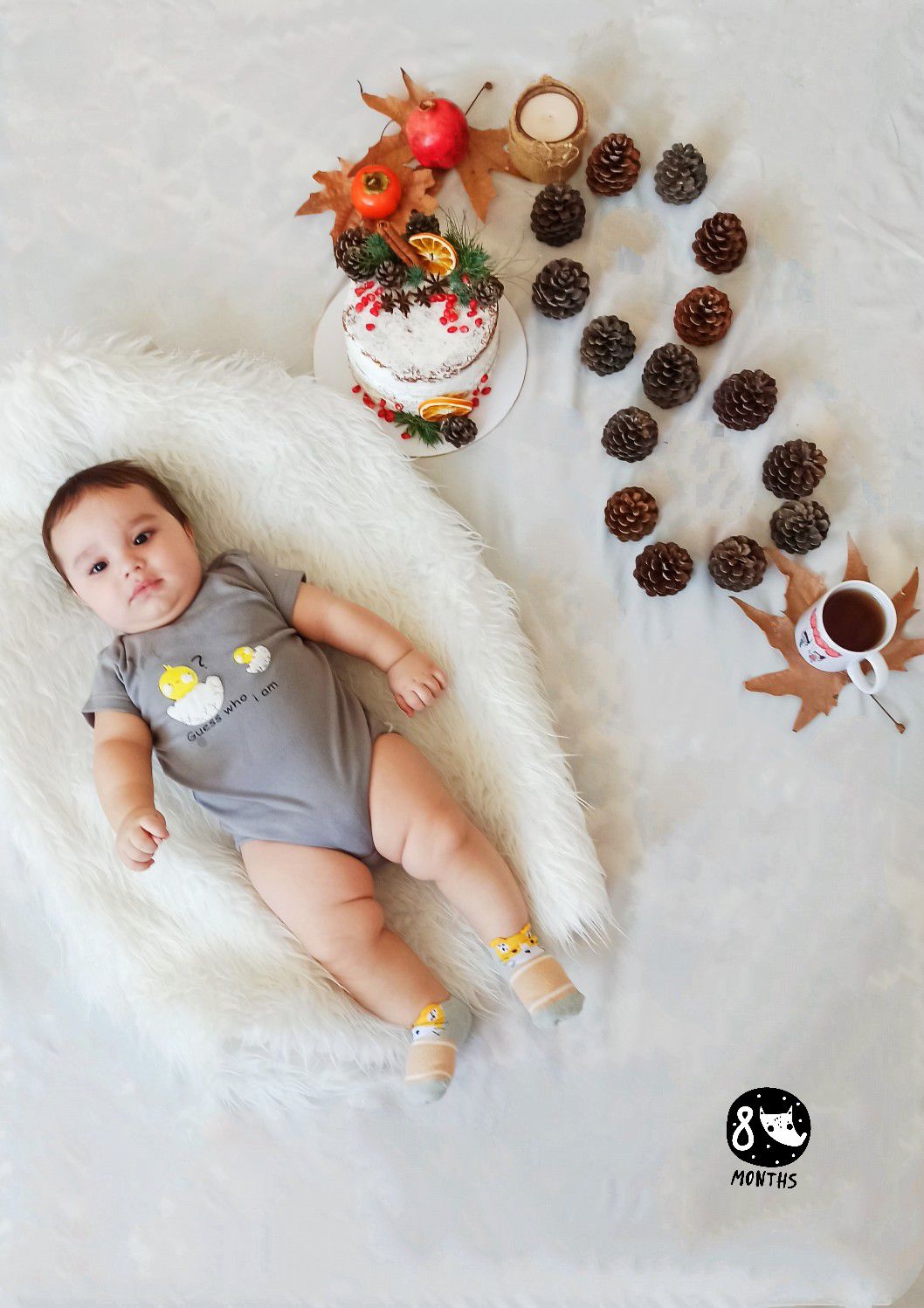 هشت ماهگی نوزاد نیکان لشکری