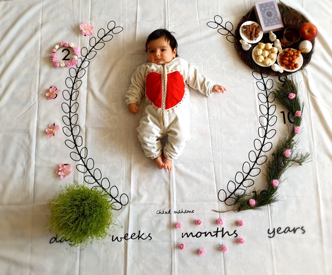 عید نوروز دلارام کریمی