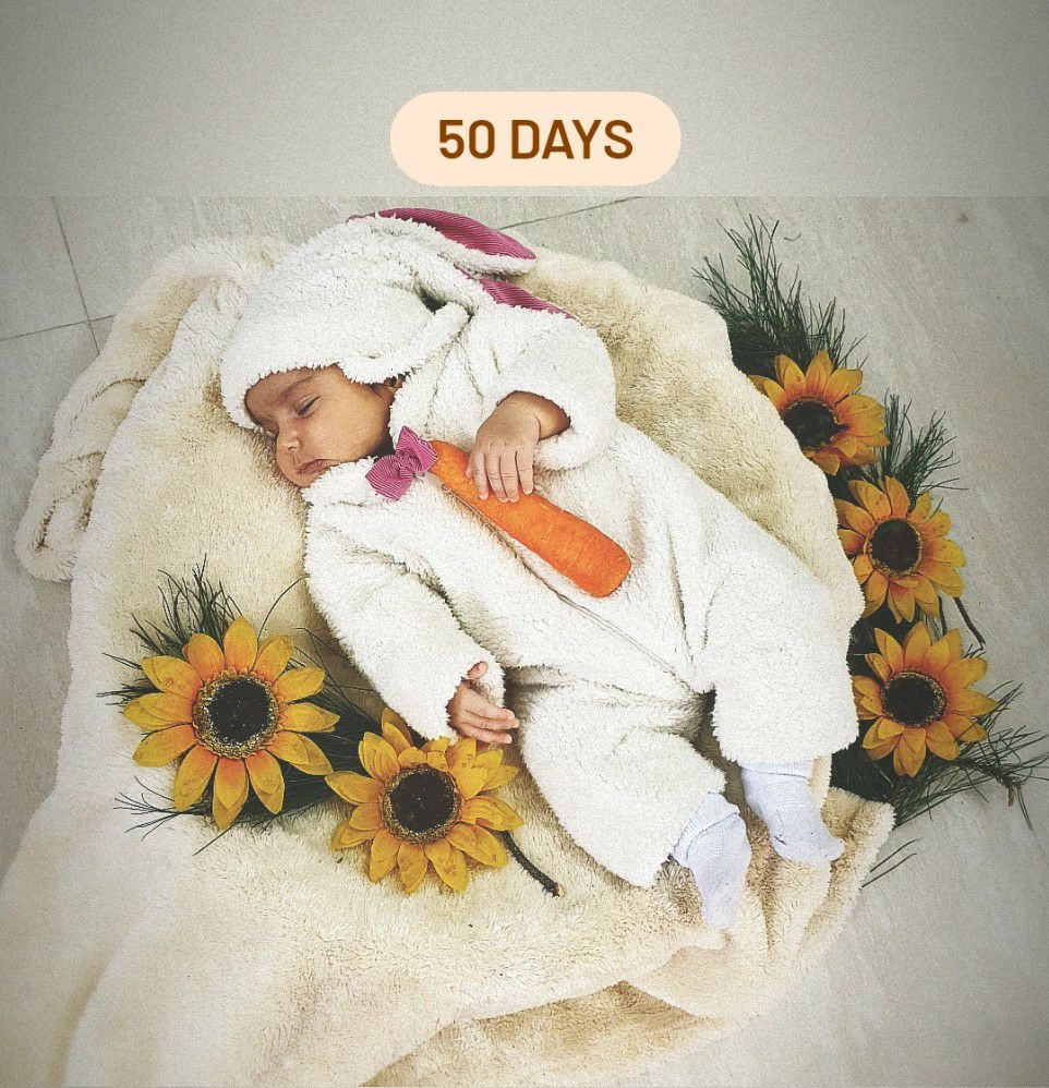 عکاسی با میوه دلارام کریمی