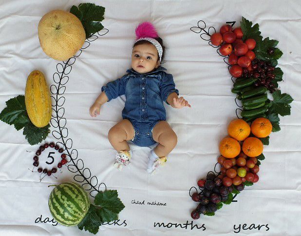 پارچه ماه شمار طرح شاخه زیتون دلارام کریمی