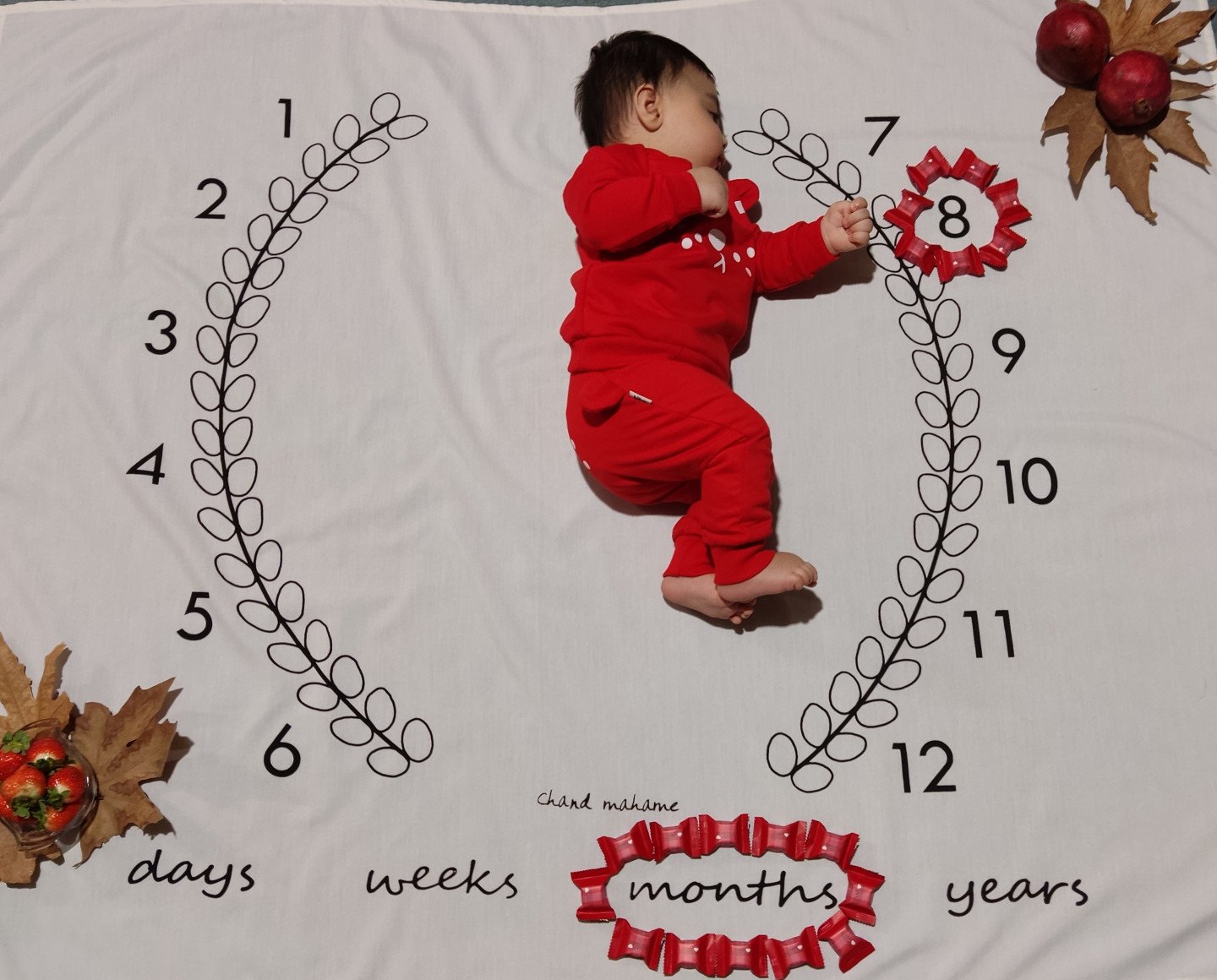 هشت ماهگی نوزاد محمد حسین مهری