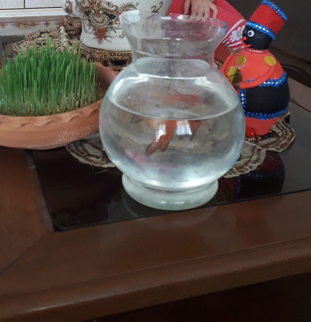 عید نوروز فاطمه  قلی زاده