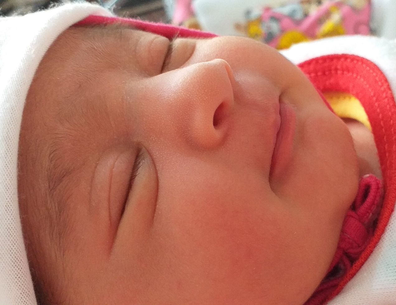 لالا کردنم النا اکبری