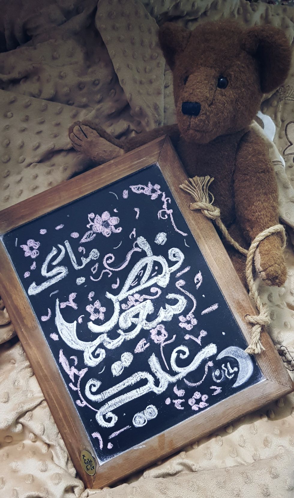 چهارده ماهگی_کودک ماهان