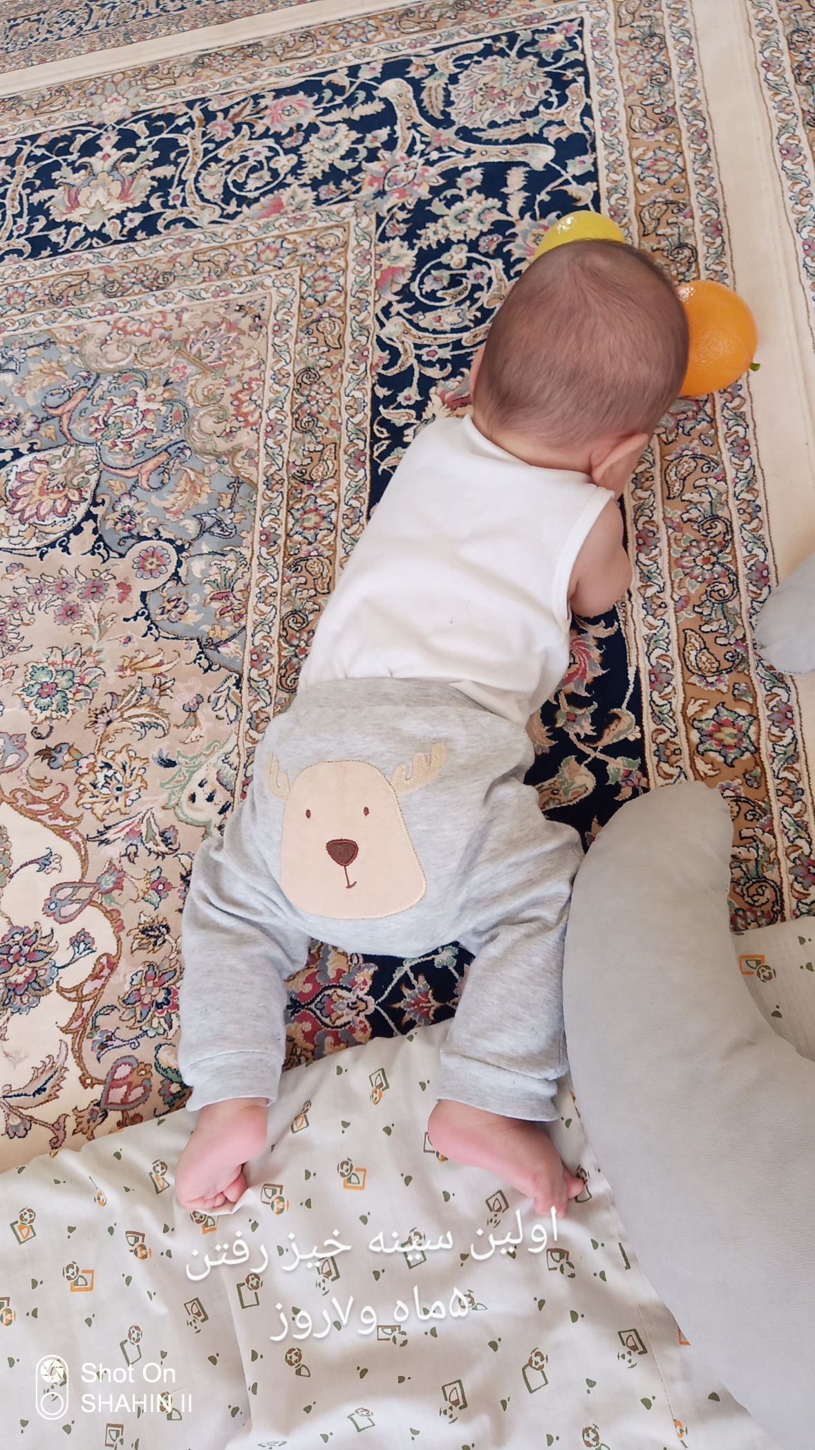 شروع غذای کمکی محمد ماهان قاسمی