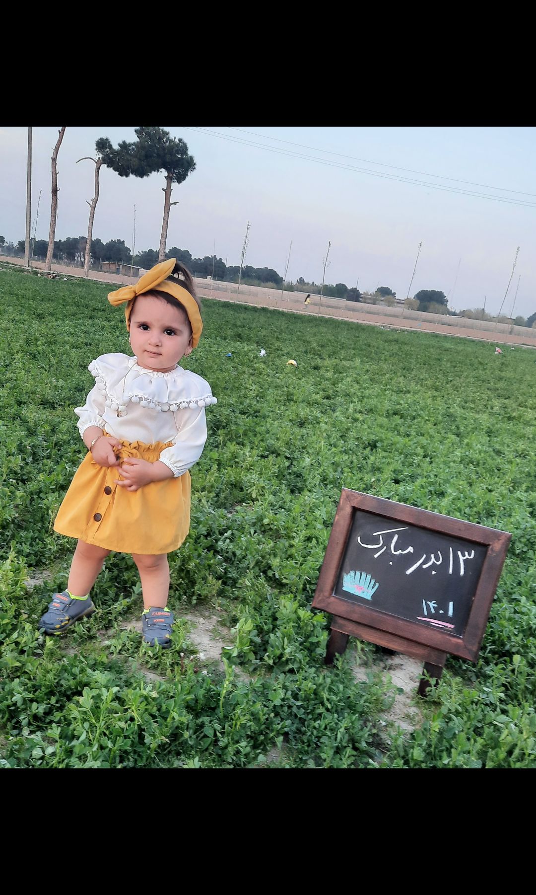 ایده مهرسامحمدی