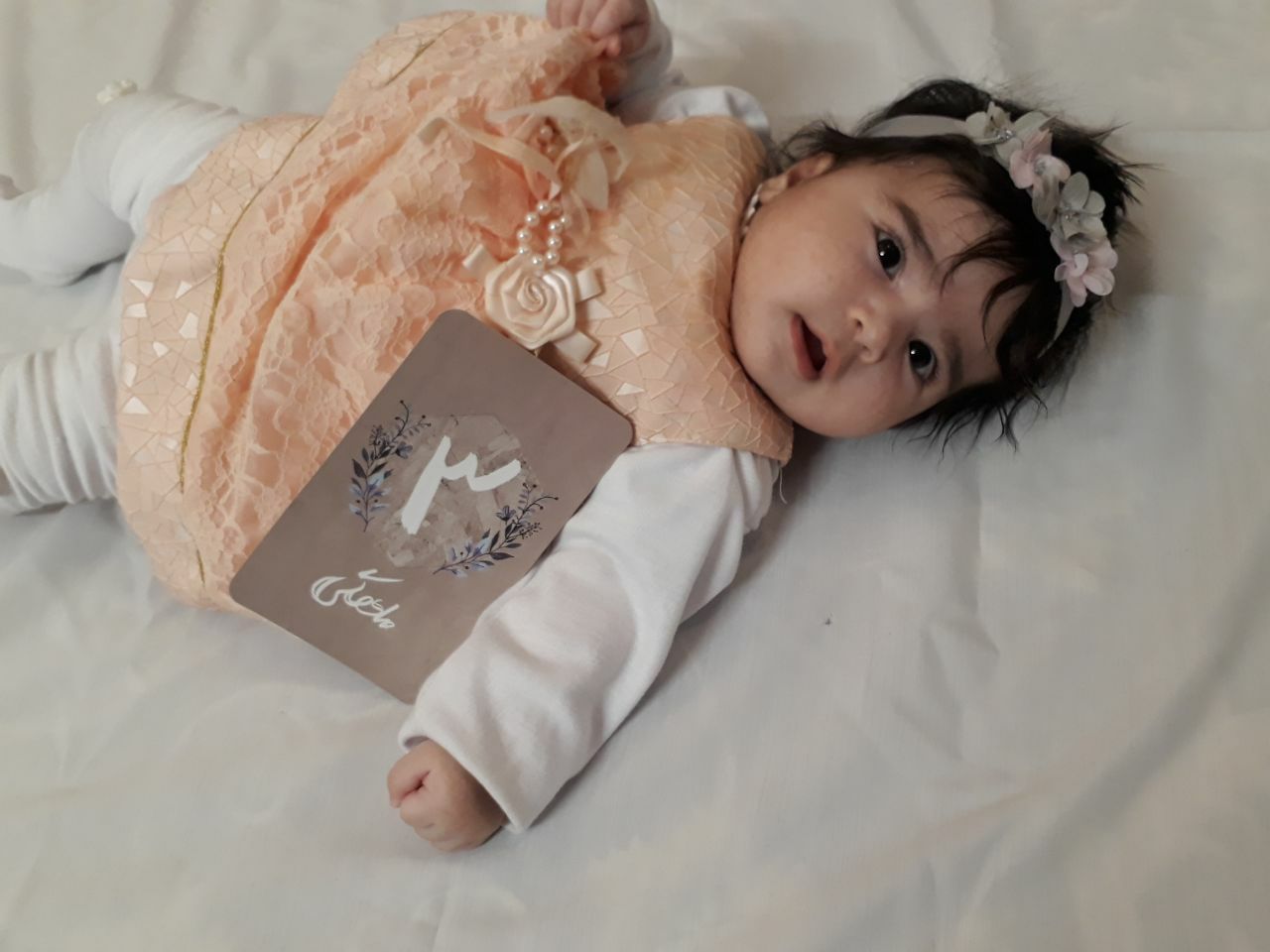 اشکال-چوبی-طرح-پرستو-34788