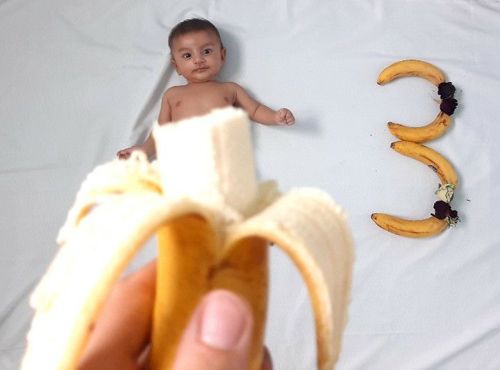 عکاسی با میوه آرتان حامدی