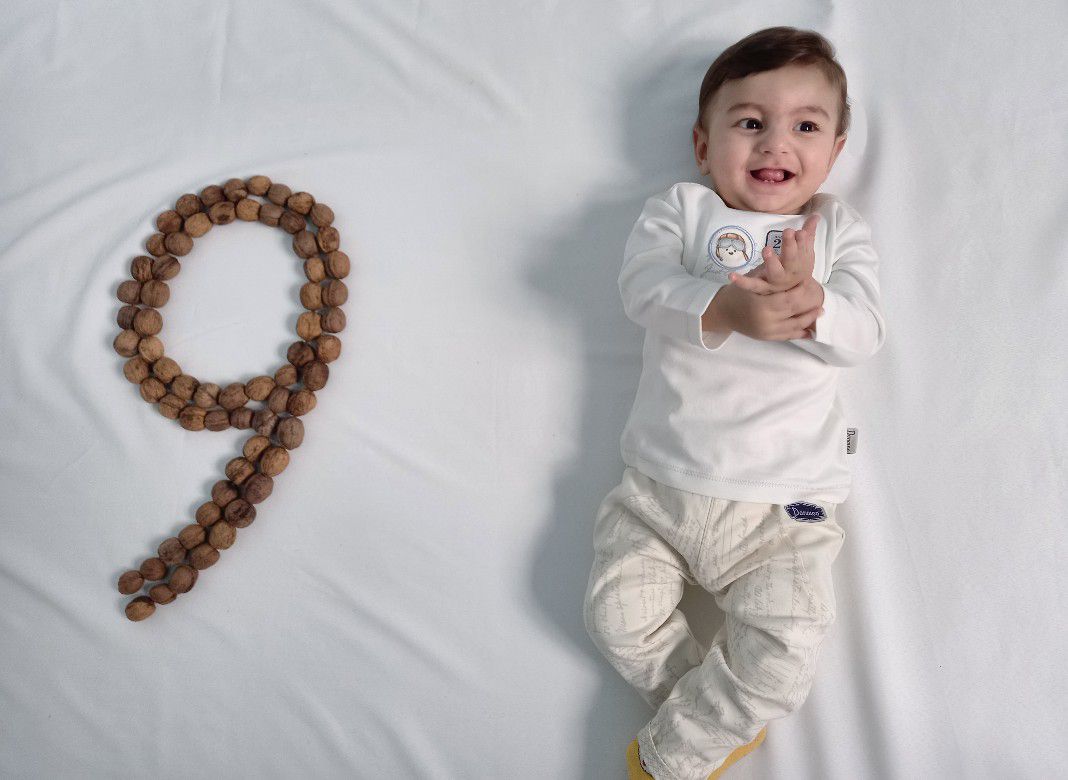 ایده آرتان حامدی