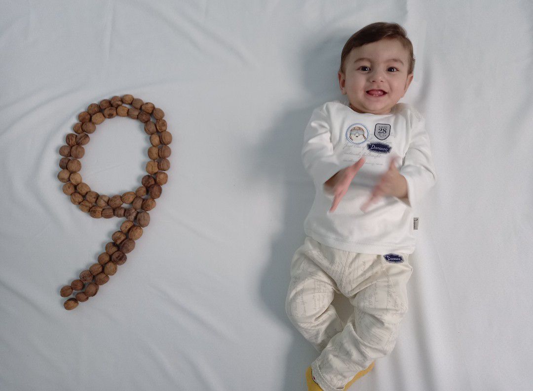 ایده آرتان حامدی