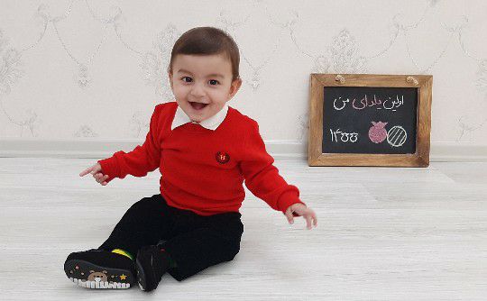 ایده آرتان حامدی