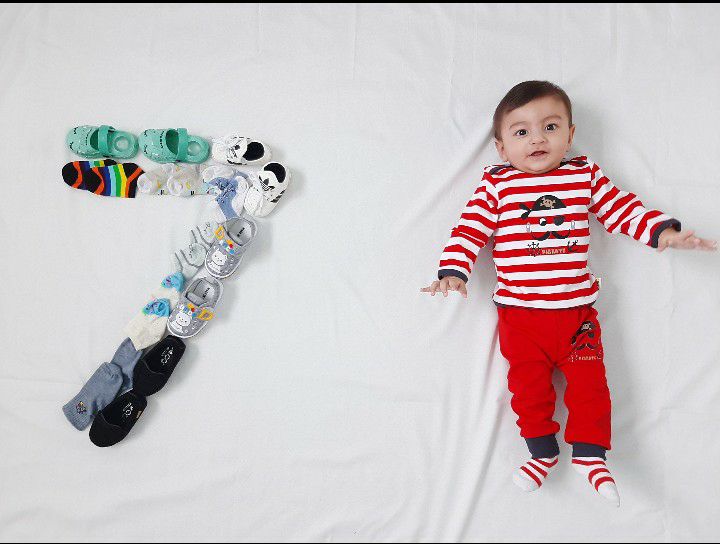 ایده آرتان حامدی