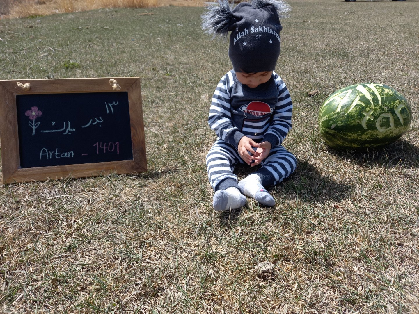 ایده آرتان حامدی