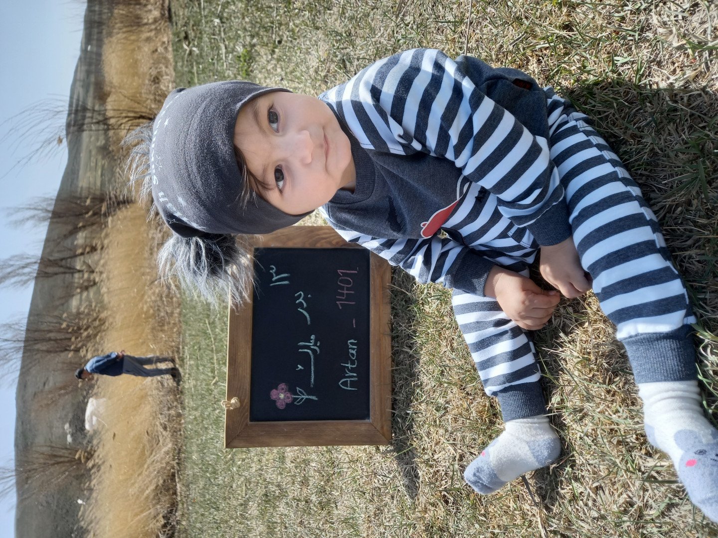 ایده آرتان حامدی