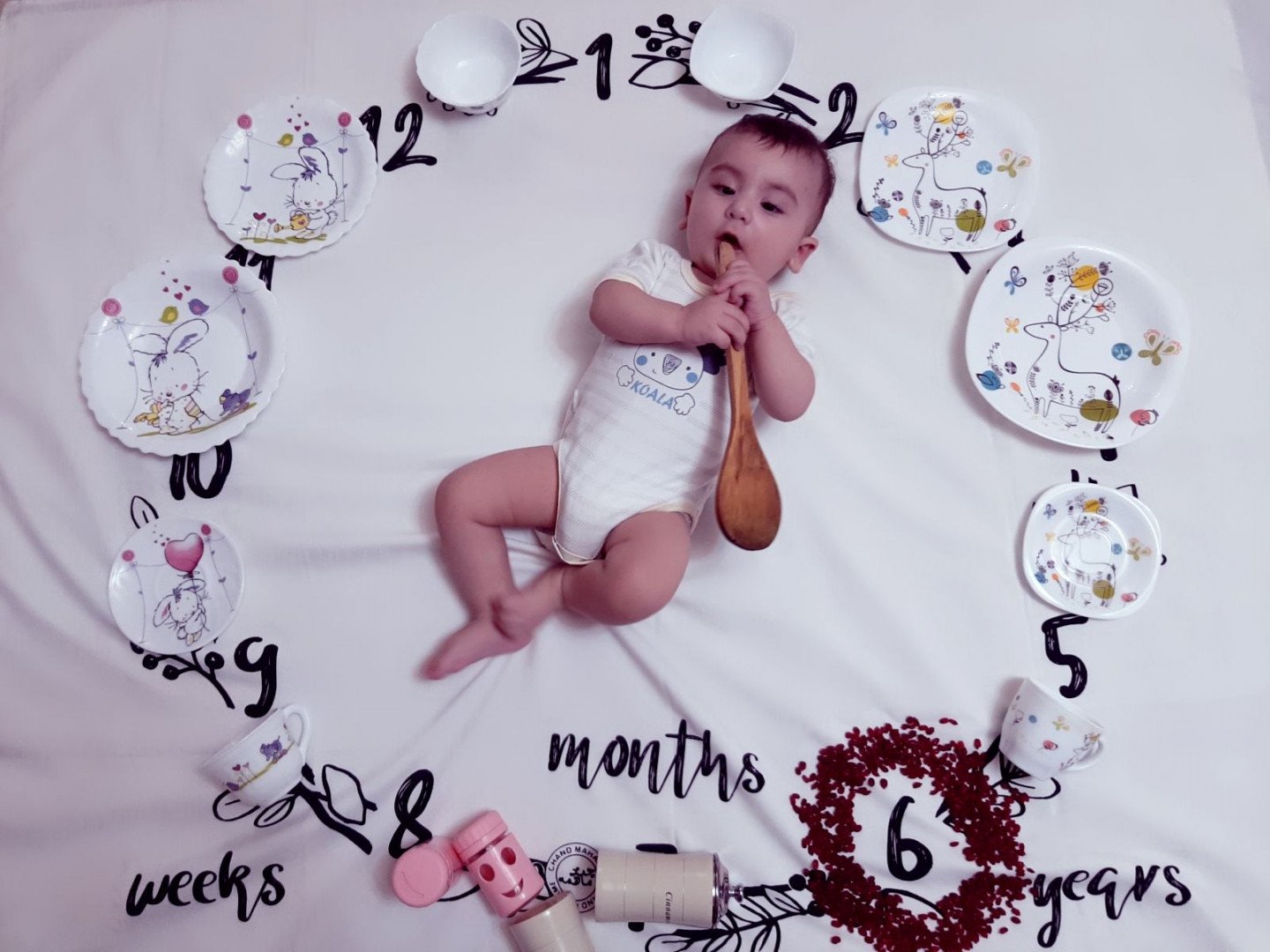 شش ماهگی نوزاد Arda paşam?