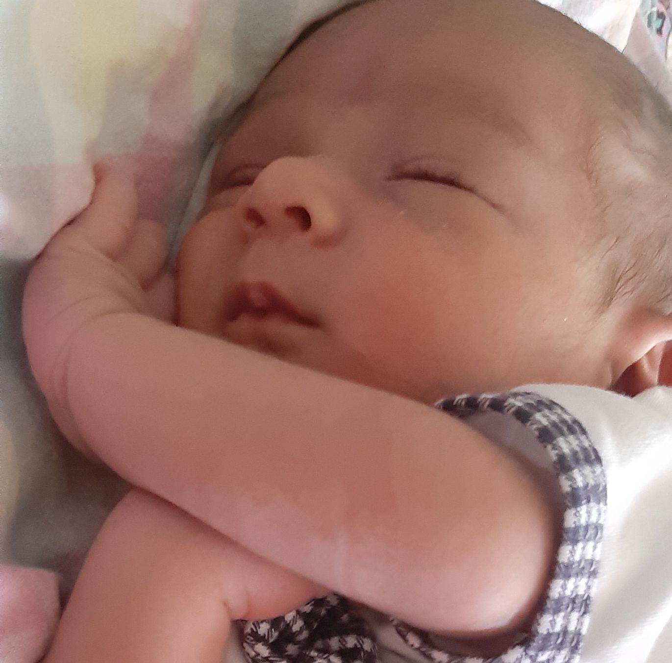 لالا کردنم فرهان دوستان