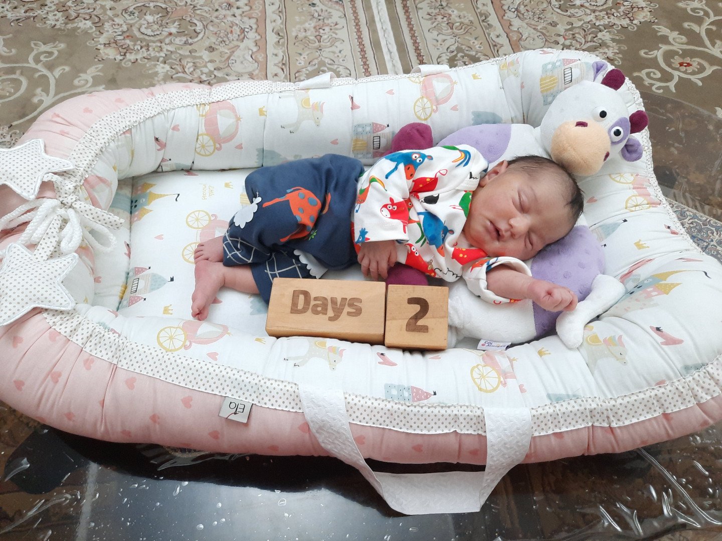 بارداری نورا نامدارلو