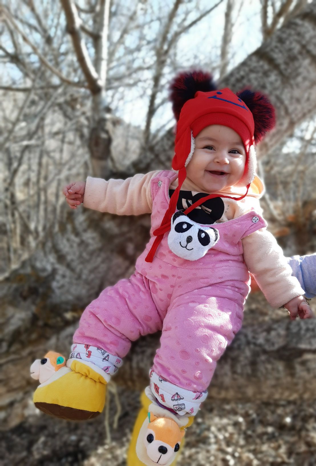 تم عکس زمستانی نوزاد محنا  زین العابدینی