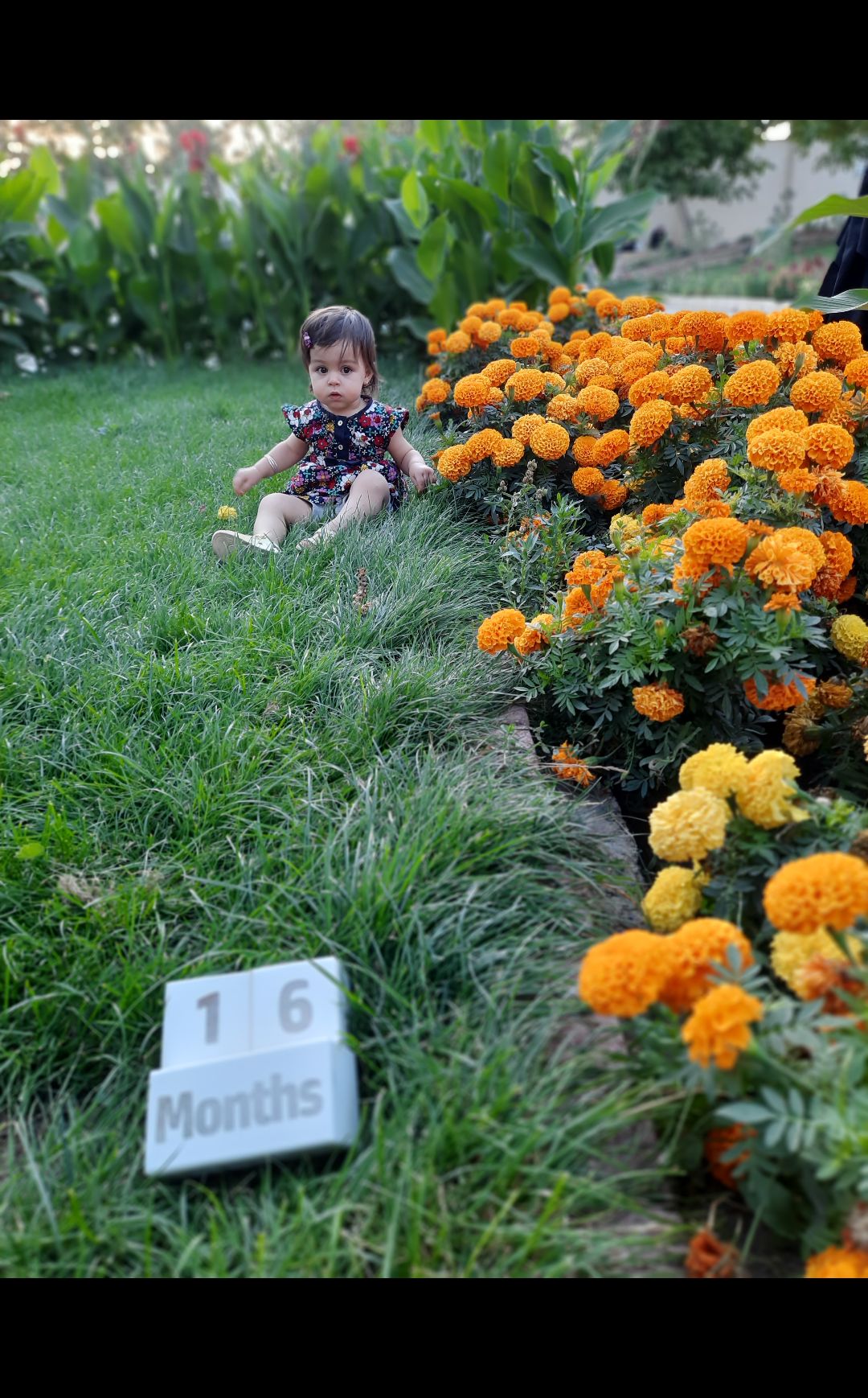 شانزده ماهگی کودک محنا  زین العابدینی