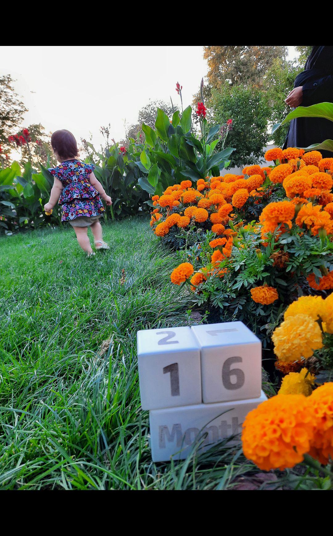 تم عکس تابستانی کودک محنا  زین العابدینی