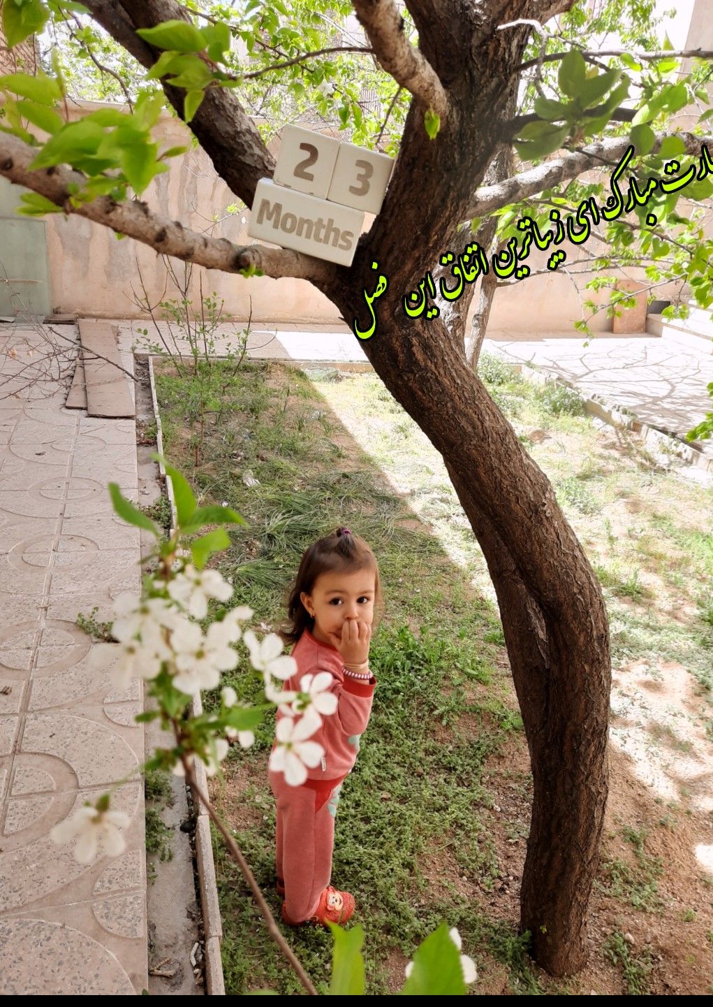 تم عکس بهاری کودک محنا  زین العابدینی