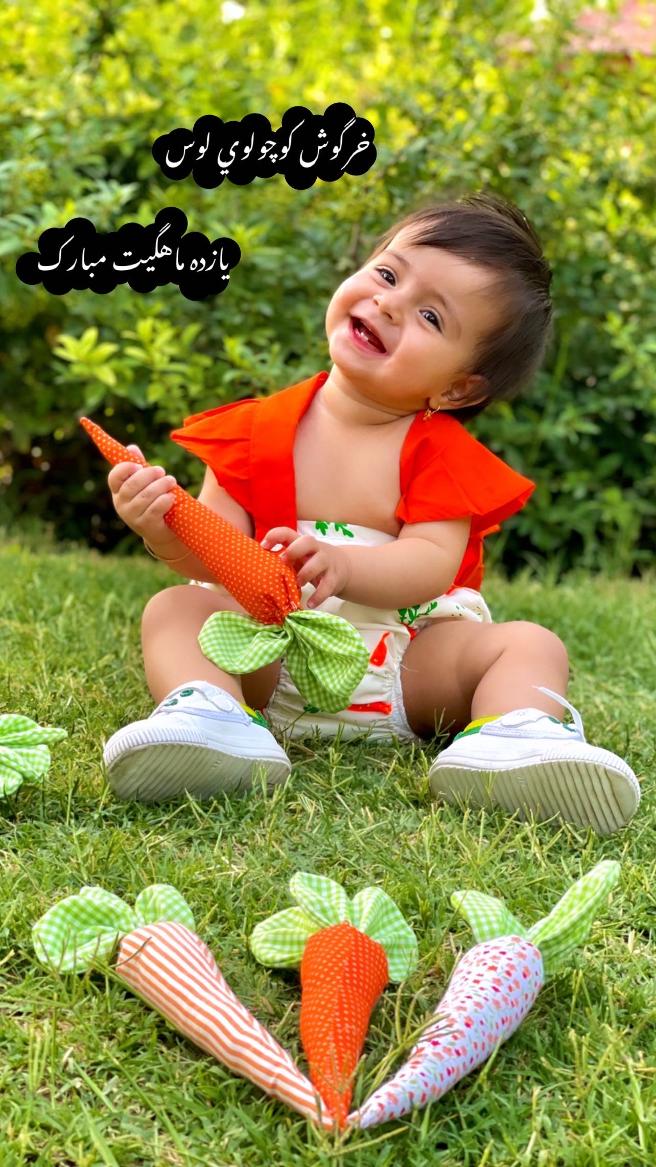 لباس عکاسی هویج آریانا استیری