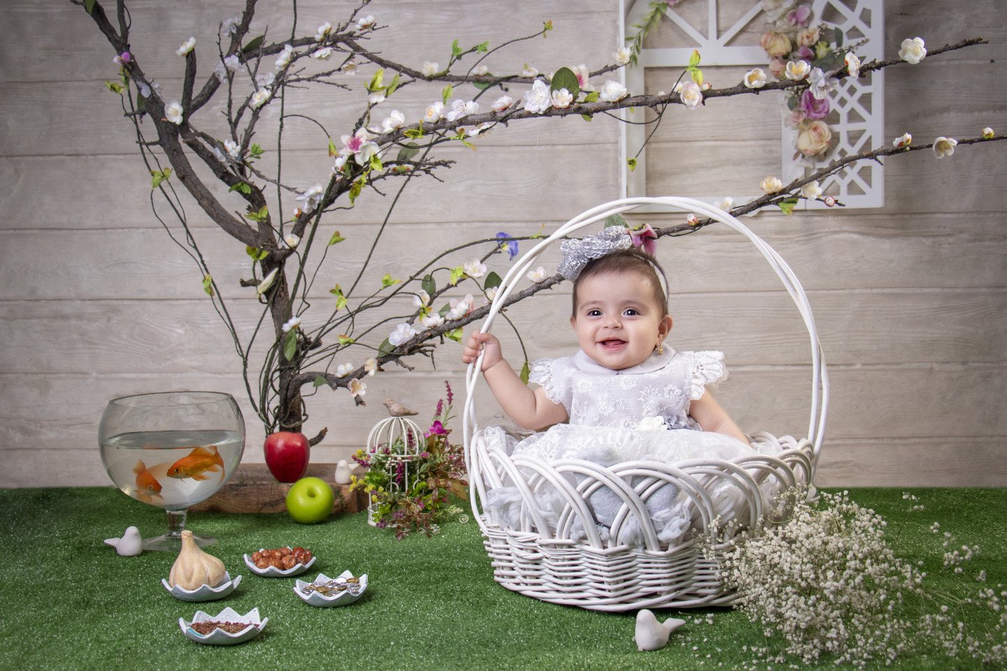 هشت ماهگی من آریانا استیری