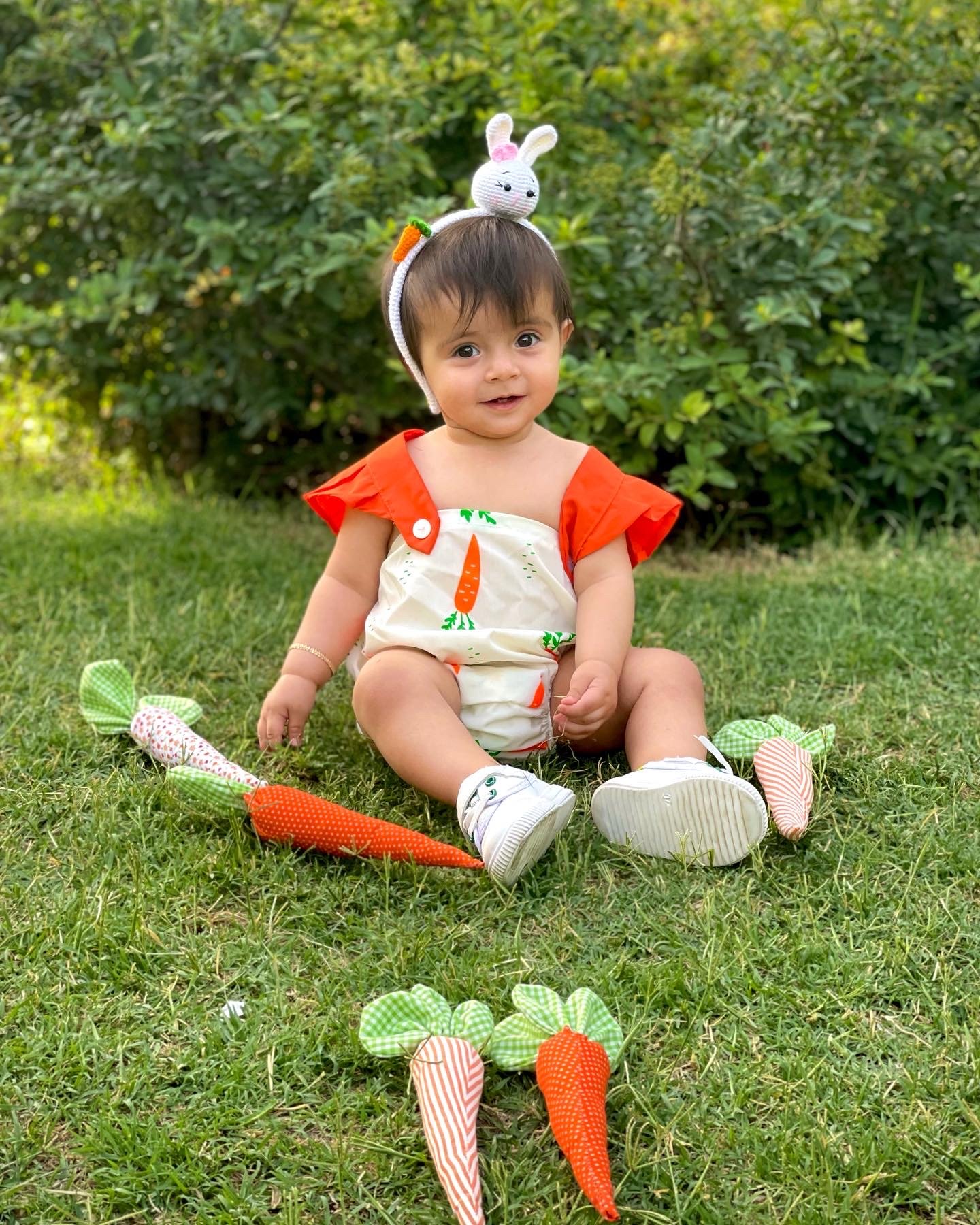 هویج پارچه‌ای آریانا استیری