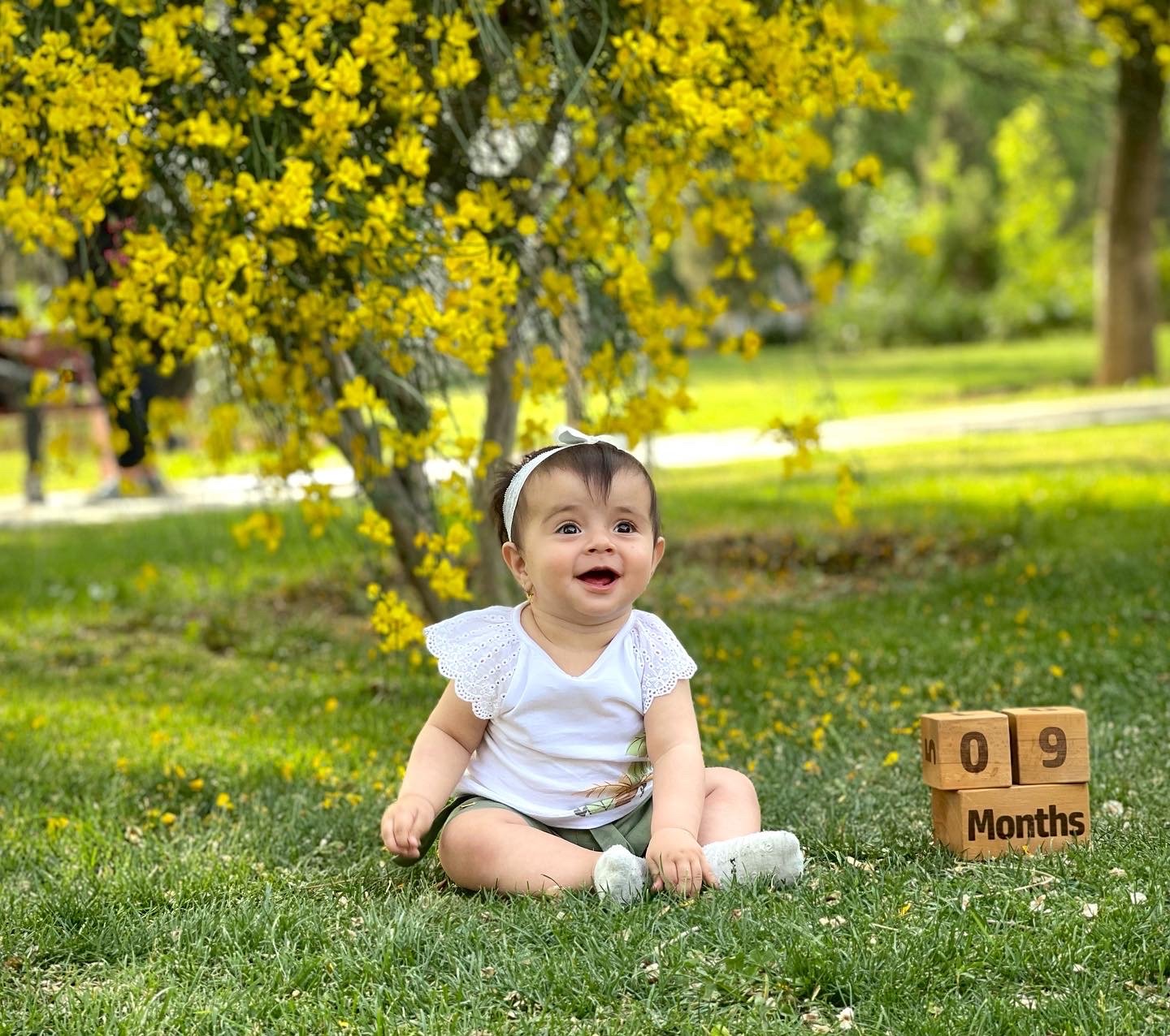 اولین سفر آریانا استیری