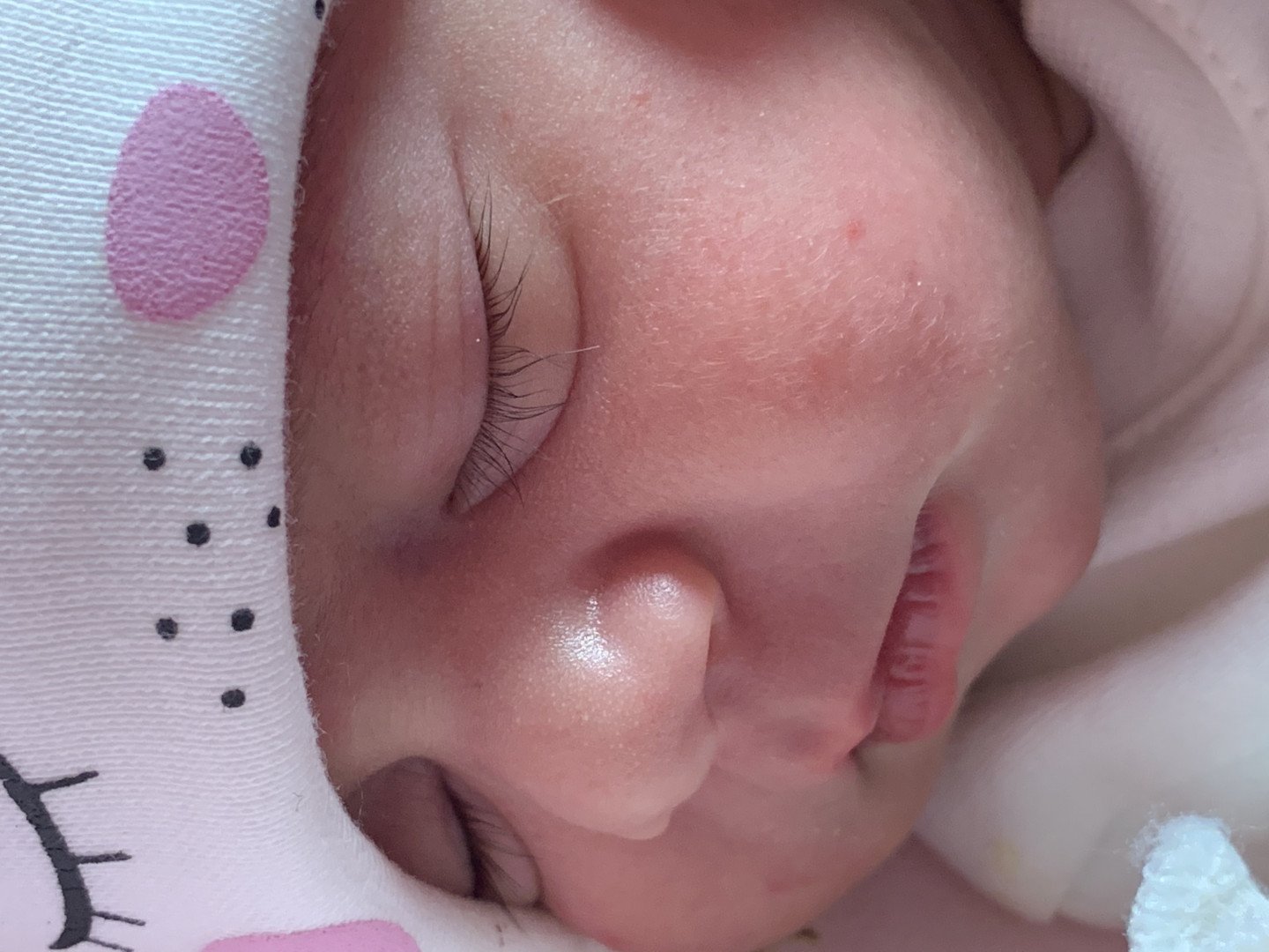 متولد شدن نوزاد آریانا استیری