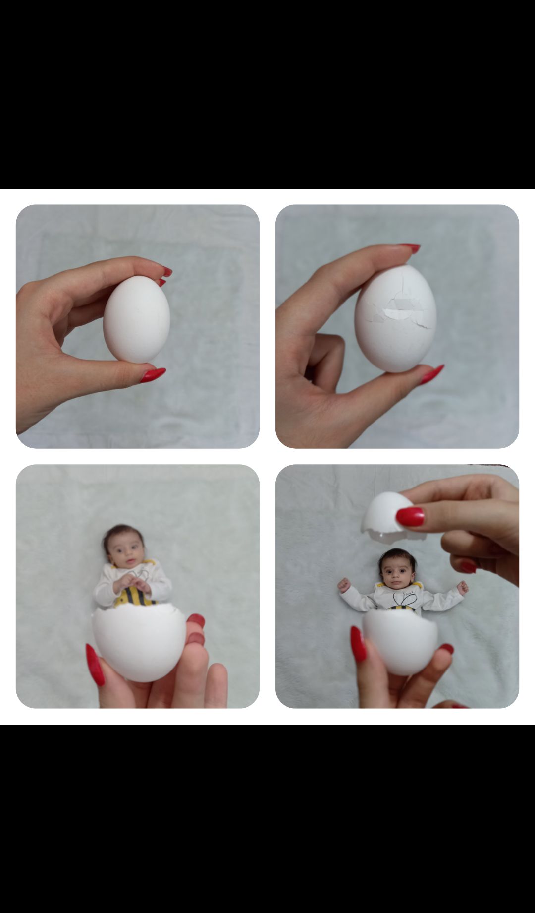 تخم-مرغ رهام براری