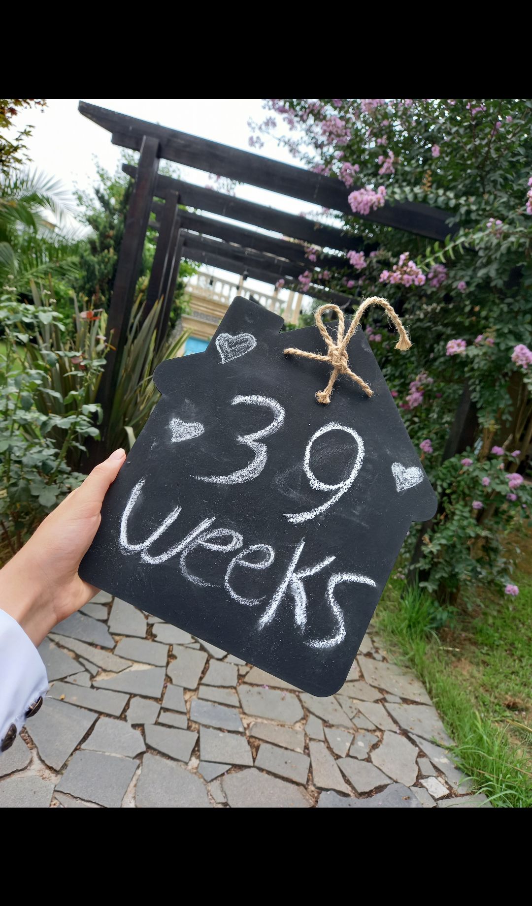 ماه-نهم-بارداری رهام براری