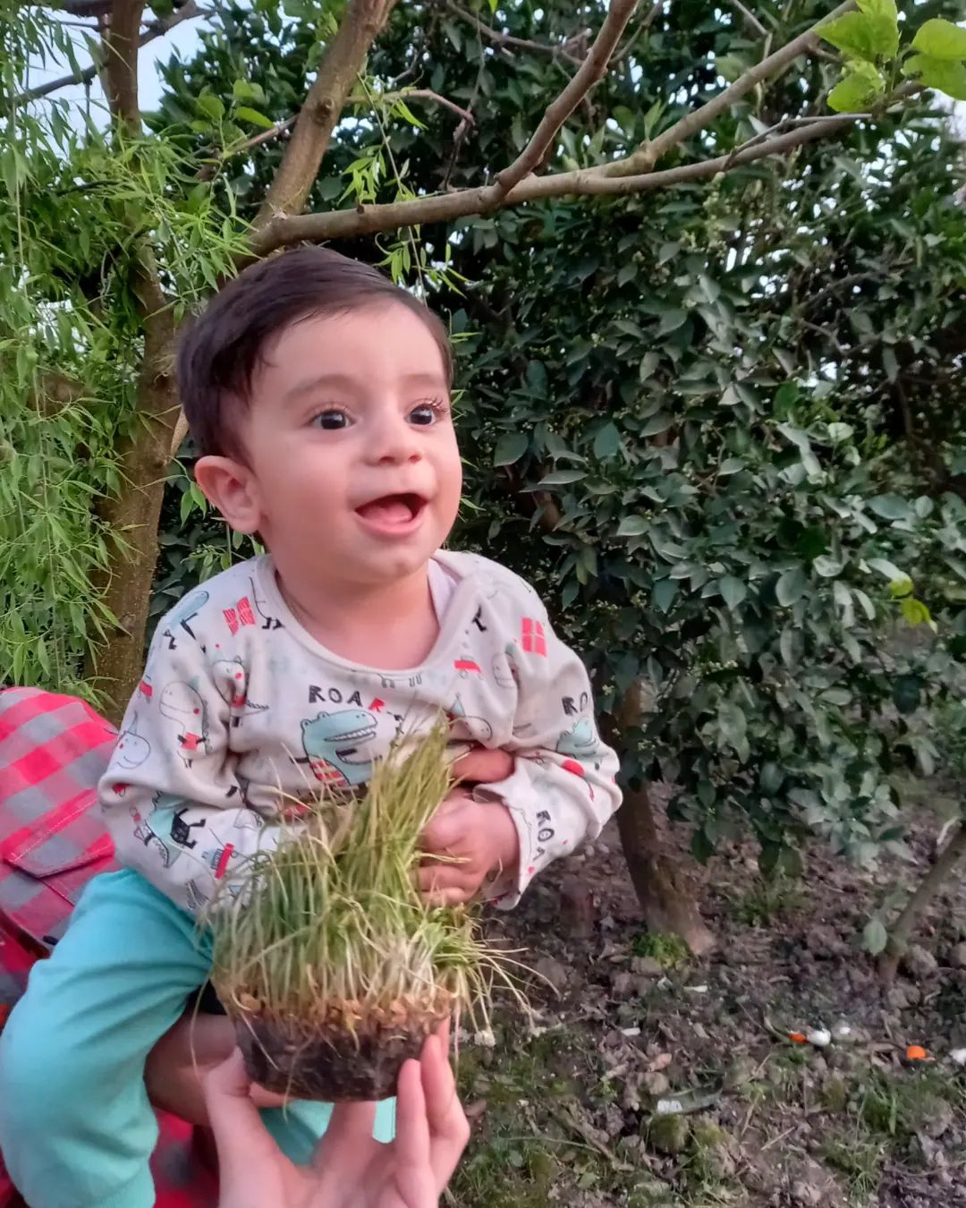 تم عکس بهاری کودک رهام براری