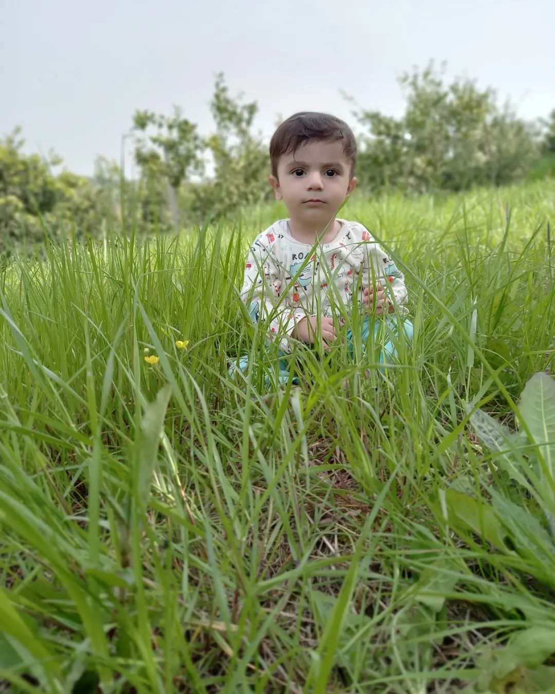 فروردین رهام براری